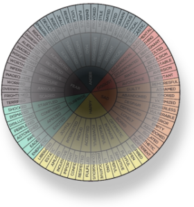 emotional wheel